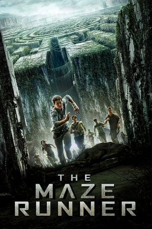 Download Film The Maze Runner (2014) Subtitle Indonesia HD Full Movie
