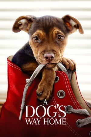 Download Film A Dog’s Way Home (2019) Subtitle Indonesia