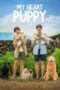 Download & Nonton Film My Heart Puppy (2023) Sub Indo Download & Nonton Film My Heart Puppy (2023) Sub Indo