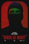 Download & Streaming Film Birds at Night (2024)