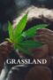 Download Grassland (2025) Sub Indo Full Movie