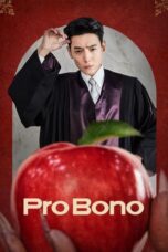 Serial Pro Bono (2025) Sub Indo Full Episode